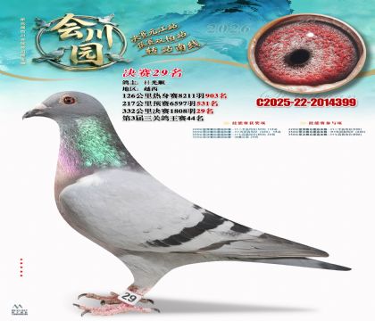 �ᴨ԰����29��