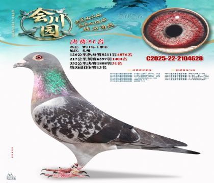 �ᴨ԰����31��