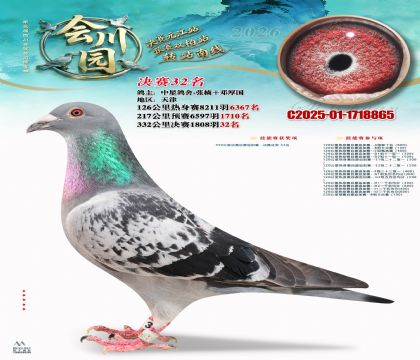 �ᴨ԰����32��