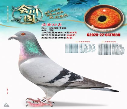 �ᴨ԰����33��