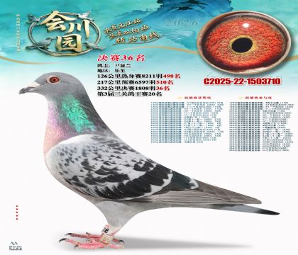 �ᴨ԰����36��