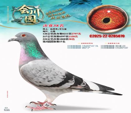 �ᴨ԰����38��