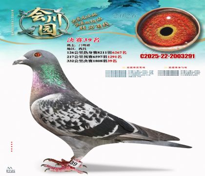 �ᴨ԰����39��