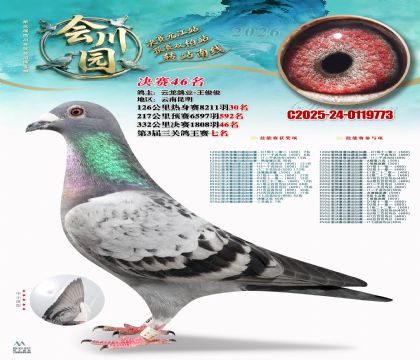 �ᴨ԰����46��