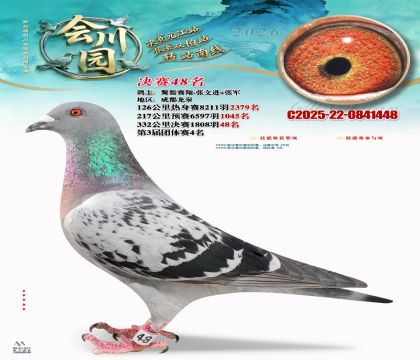 �ᴨ԰����48��