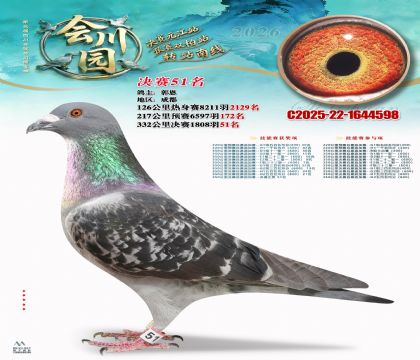 �ᴨ԰����51��