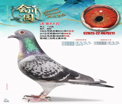 �ᴨ԰����53��