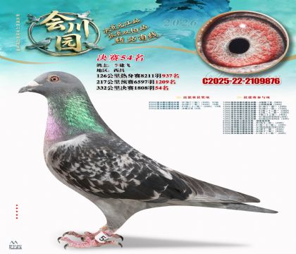 �ᴨ԰����54��