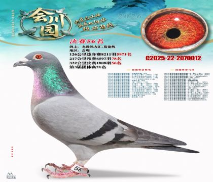 �ᴨ԰����56��