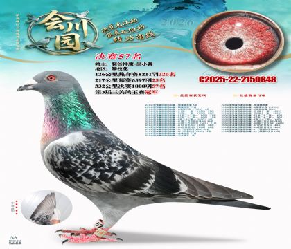 �ᴨ԰����57��