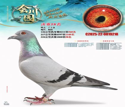 �ᴨ԰����58��