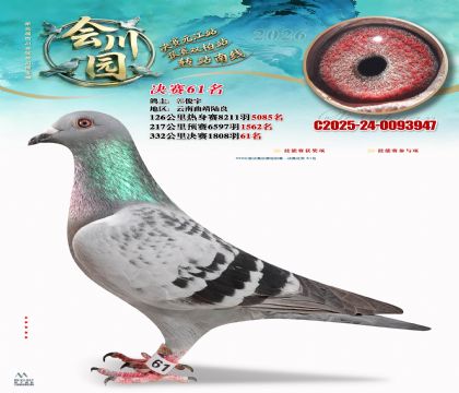 �ᴨ԰����61��