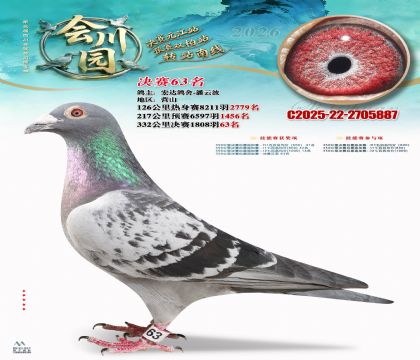 �ᴨ԰����63��