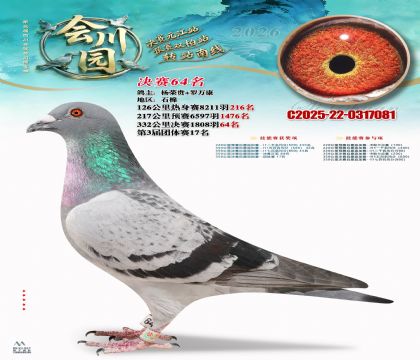 �ᴨ԰����64��