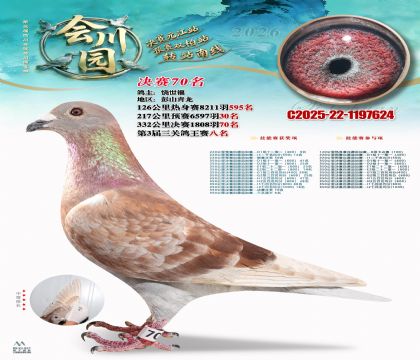 �ᴨ԰����70��