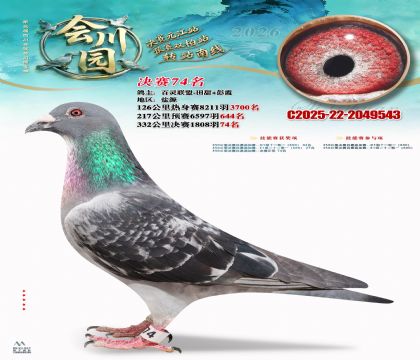 �ᴨ԰����74��