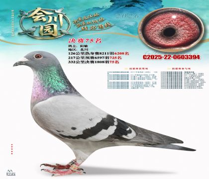 �ᴨ԰����75��