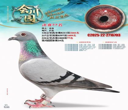 �ᴨ԰����77��