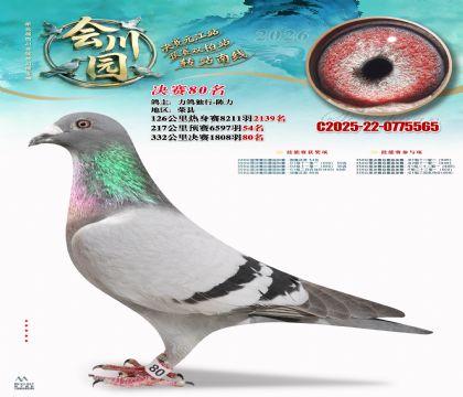 �ᴨ԰����80��