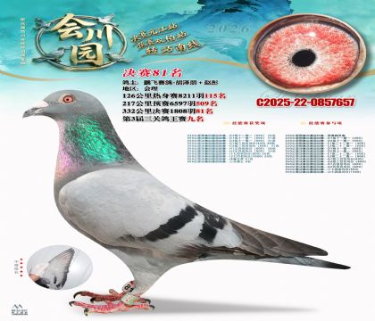 �ᴨ԰����81��