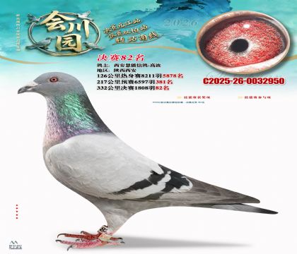 �ᴨ԰����82��