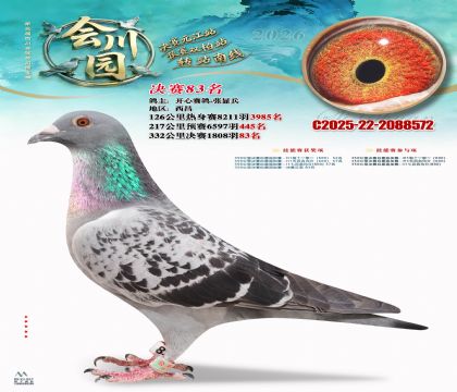 �ᴨ԰����83��