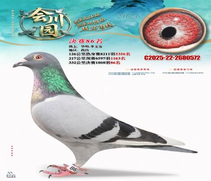 �ᴨ԰����86��