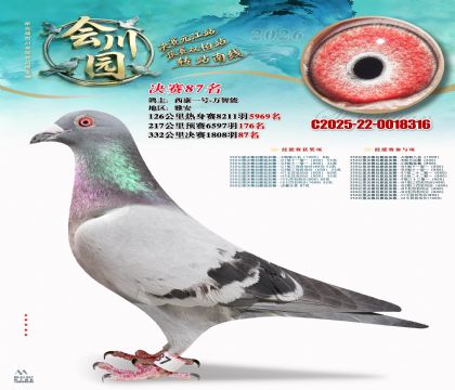 �ᴨ԰����87��