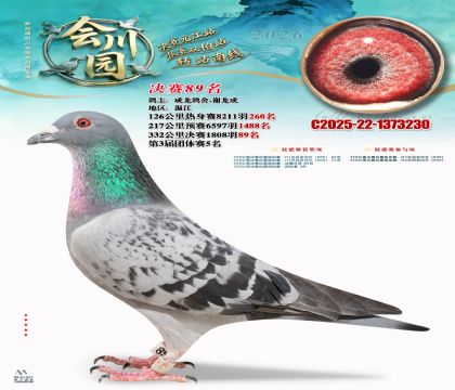 �ᴨ԰����89��