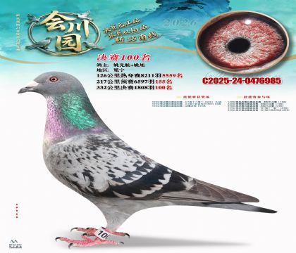 �ᴨ԰����100��