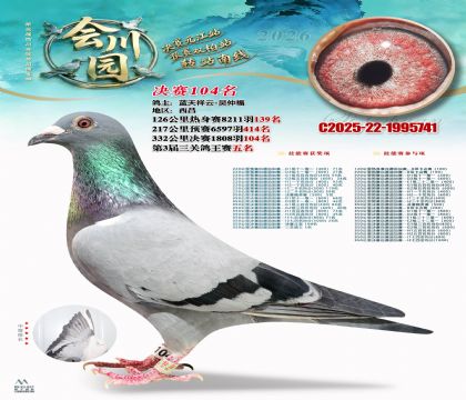 �ᴨ԰����104��