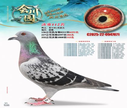 �ᴨ԰����112��