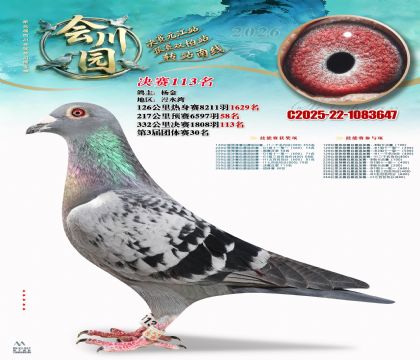 �ᴨ԰����113��