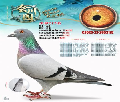 �ᴨ԰����117��