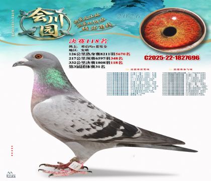 �ᴨ԰����118��