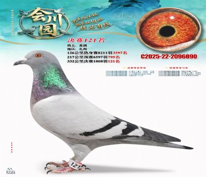 �ᴨ԰����121��