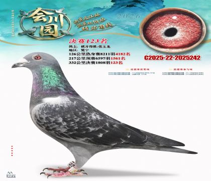 �ᴨ԰����123��