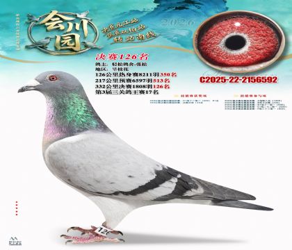 �ᴨ԰����126��