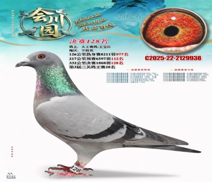 �ᴨ԰����128��