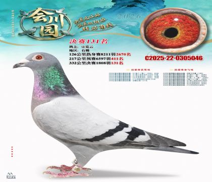 �ᴨ԰����131��