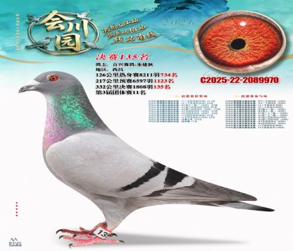 �ᴨ԰����135��