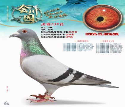 �ᴨ԰����137��