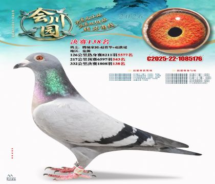 �ᴨ԰����138��