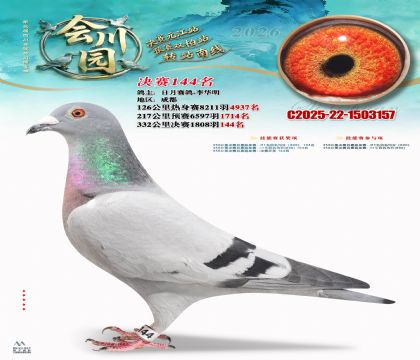 �ᴨ԰����144��