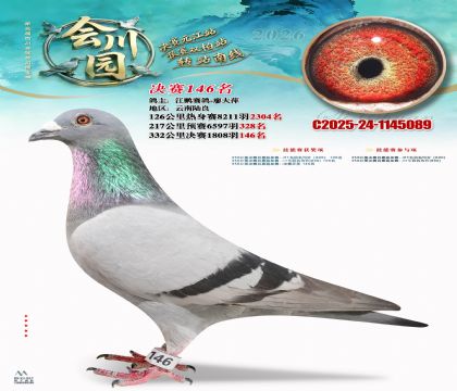 �ᴨ԰����146��