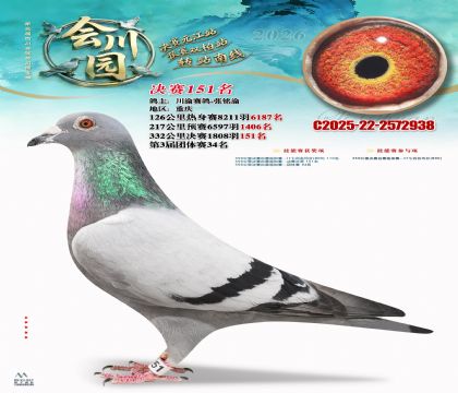 �ᴨ԰����151��