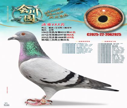 �ᴨ԰����153��