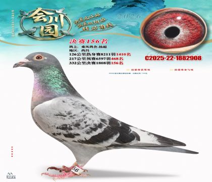 �ᴨ԰����156��