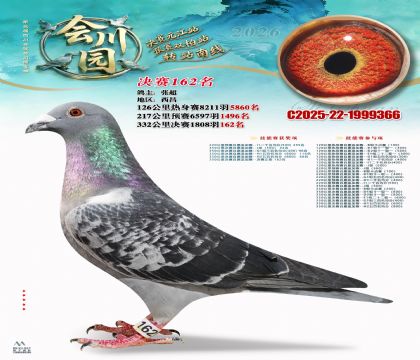 �ᴨ԰����162��