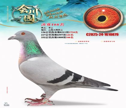 �ᴨ԰����166��